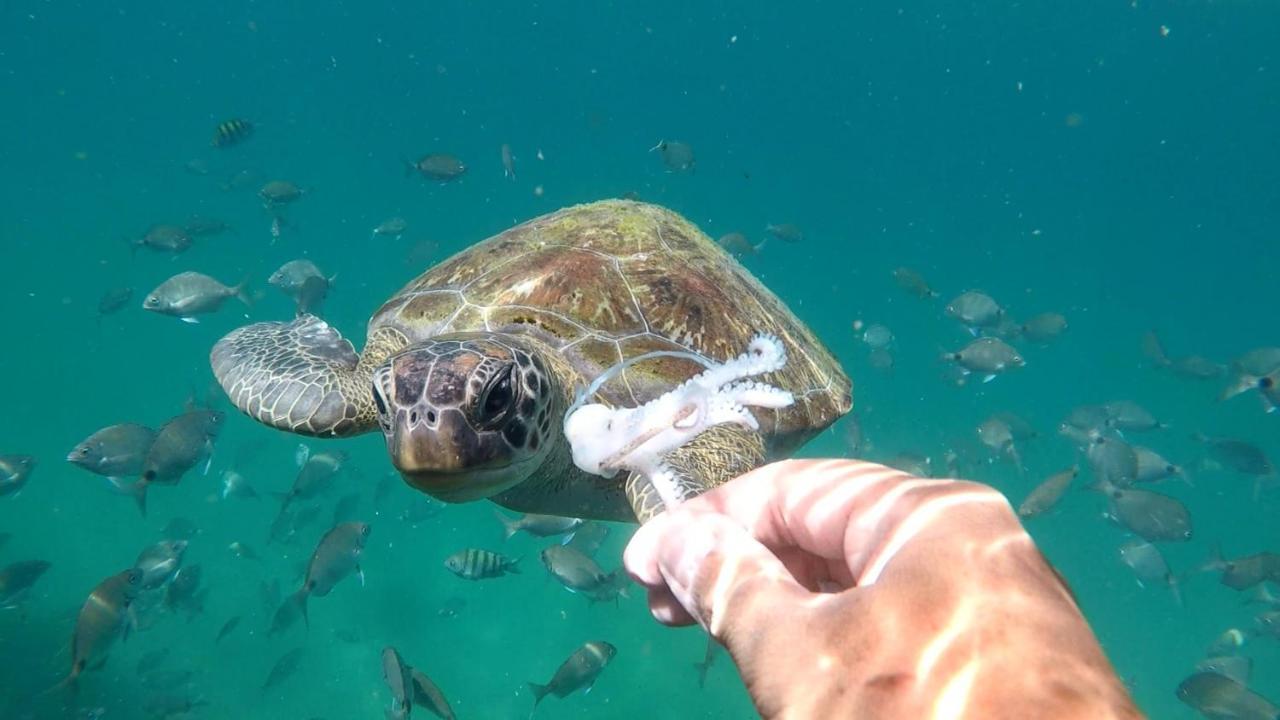 Pousada Conves - Ilha Grande Praia de Araçatiba Exteriér fotografie